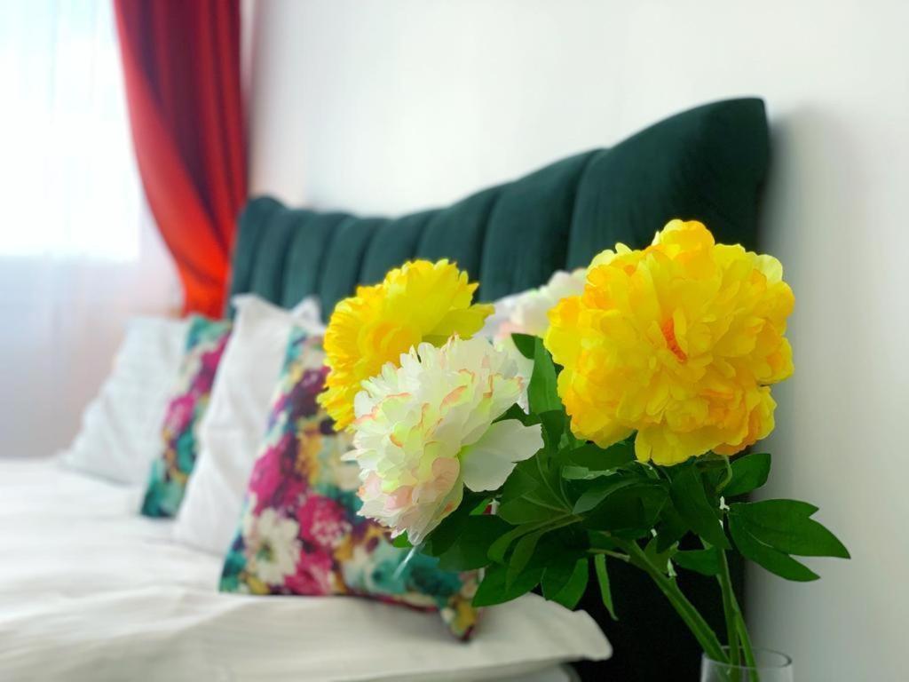 Red Hotel Accommodation Cluj-Napoca Esterno foto